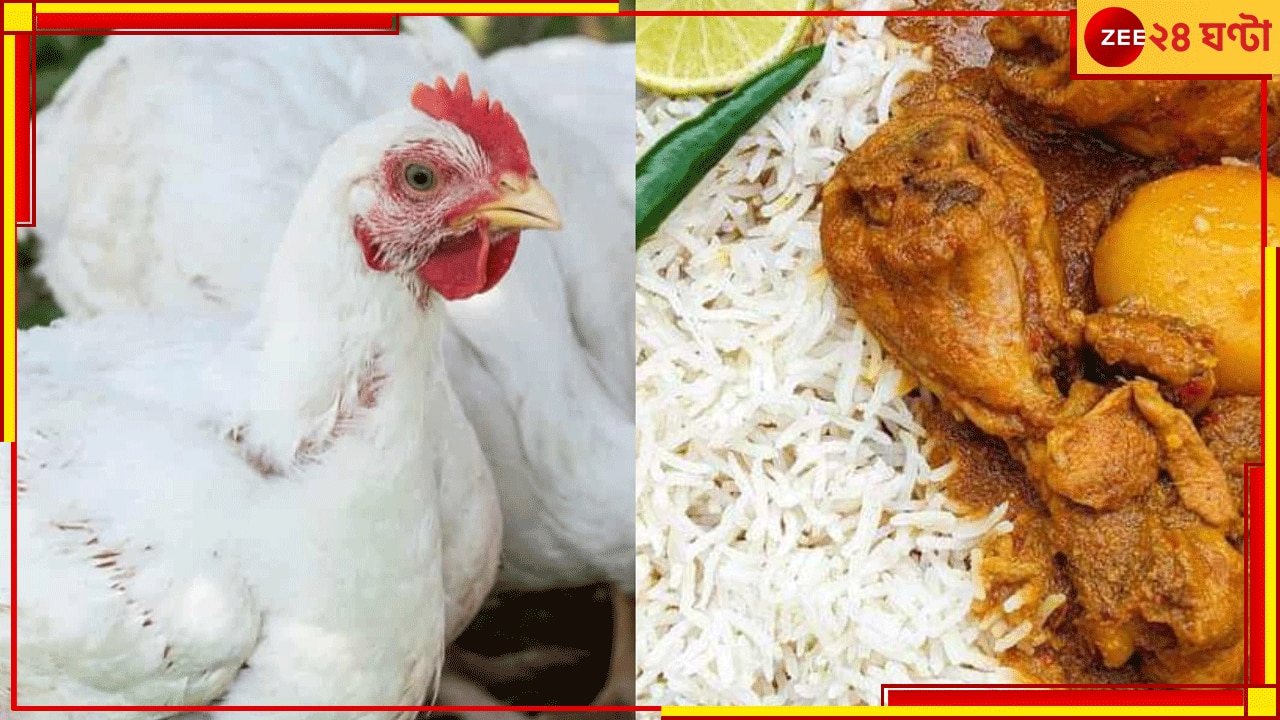 EXPLAINED | Chicken &amp; Egg: বাঙালির পাতে উঠবে না মুরগি-ডিম! বিরাট আপডেট বাজার তোলপাড়...