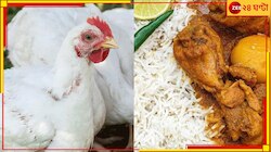 বাঙালির পাতে উঠবে না মুরগি-ডিম! বিরাট আপডেট বাজার তোলপাড়...