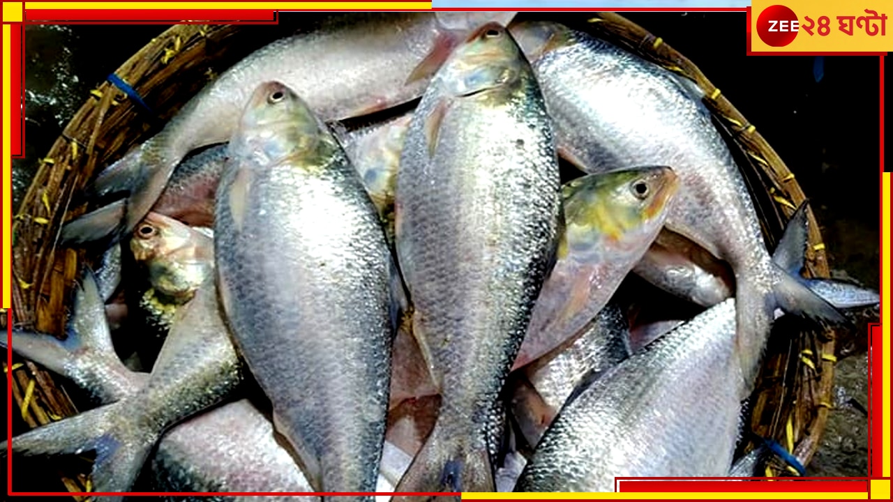 Hilsa| Bangladesh: রফতানি বন্ধ, বাংলাদেশে হু হু করে কমল ইলিশের দাম