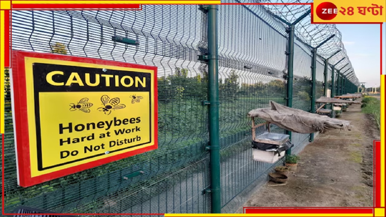 India-Bangladesh Border | Project Sting: বাংলাদেশি অনুপ্রবেশ ঠেকাতে সীমান্তে মোতায়েন মৌমাছি, অদ্ভুত বুদ্ধি এঁটেছে BSF… India-Bangladesh Border | Project Sting: বাংলাদেশি অনুপ্রবেশ ঠেকাতে সীমান্তে মোতায়েন মৌমাছি, অদ্ভুত বুদ্ধি এঁটেছে BSF…