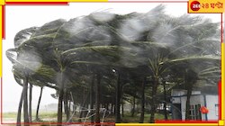 ভয়াবহ ধ্বংসলীলা! ঝড়ের গতি ঘণ্টায় ২০৩ কিমি! নদীস্রোতে মুহূর্তে মিলিয়ে গেল সেতু.