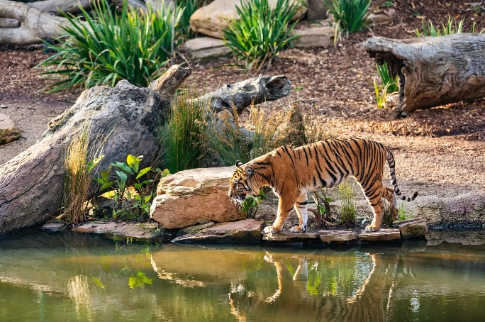 Sundarbans National Park, West Bengal