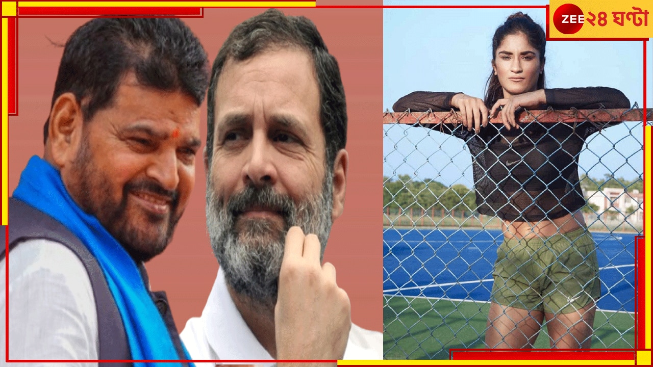 Vinesh Phogat | Rahul Gandhi: &#039;সাবধান! ভিনেশ না আবার রাহুল গান্ধীর বিরুদ্ধেও যৌন হেনস্থার অভিযোগ আনে...&#039;