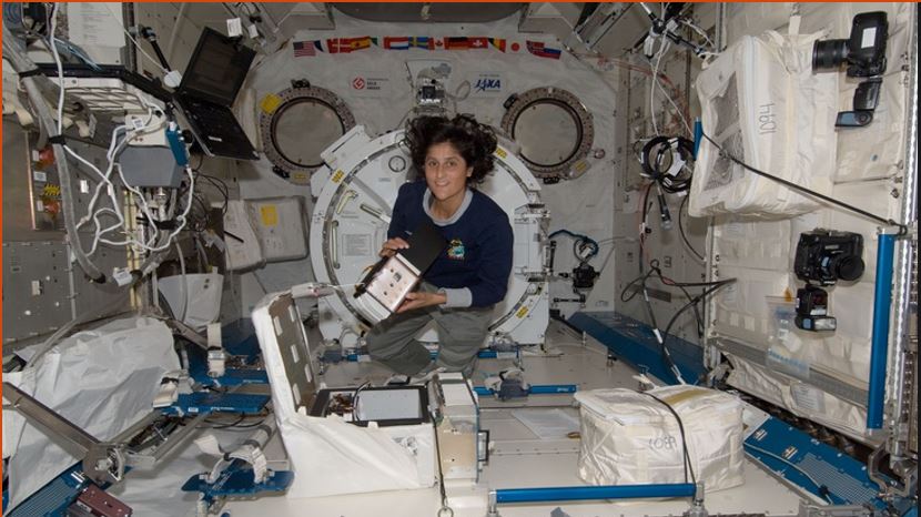 NASA astronaut Sunita Williams