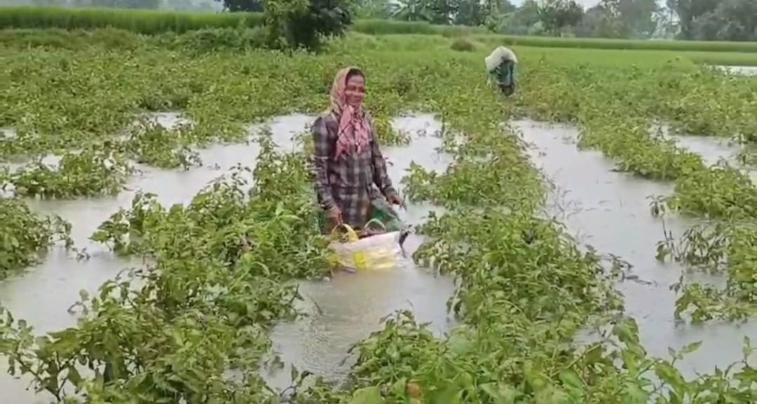 Arambag Flood