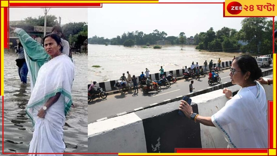 Mamata Banerjee: 'ইচ্ছে করে DVC জল ছেড়ে বাংলায় ম্যানমেড বন্যা করে দিল!'   