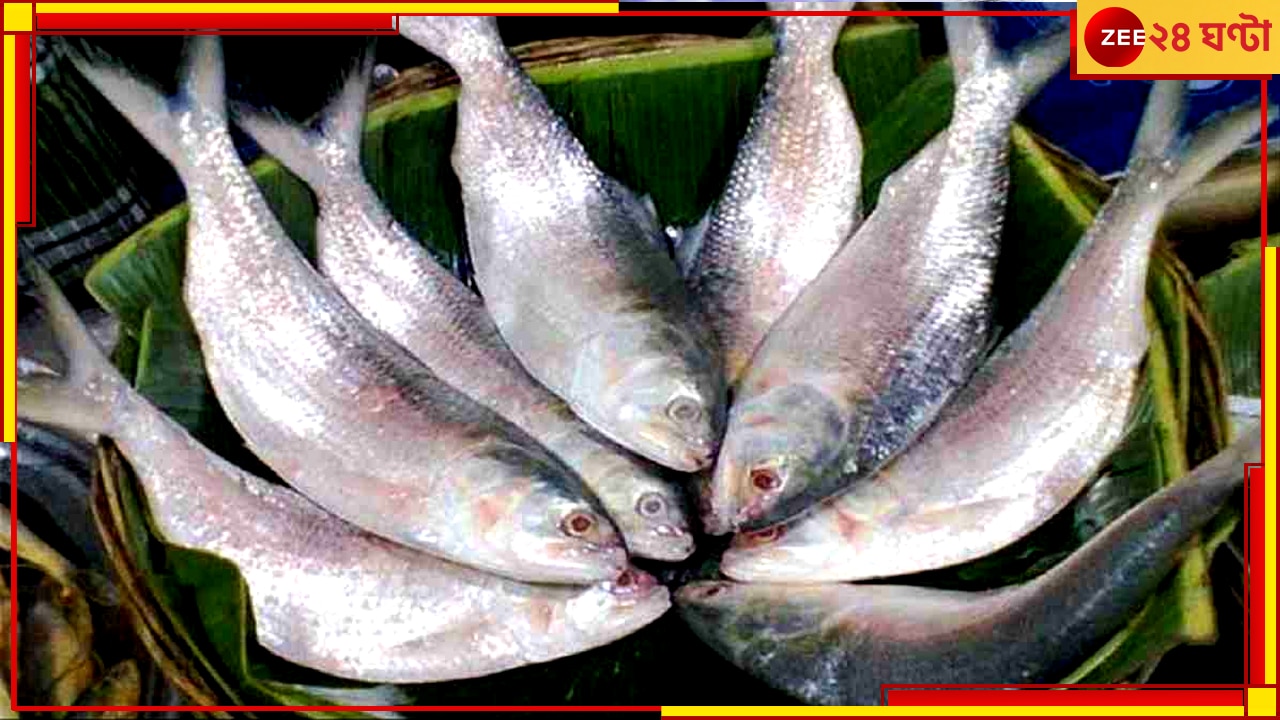 Bangladeshi Hilsa: পুজোয় কি আদৌ পাতে পড়বে পদ্মার ইলিশ! তৈরি হয়ে গেল আইনি জট