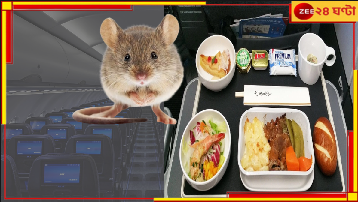 Live Mouse in flight: OMG! খাবারের প্লেট থেকে লাফ ইঁদুরের, তাকে খুঁজতে জরুরী অবতরণ... Live Mouse in flight: OMG! খাবারের প্লেট থেকে লাফ ইঁদুরের, তাকে খুঁজতে জরুরী অবতরণ...