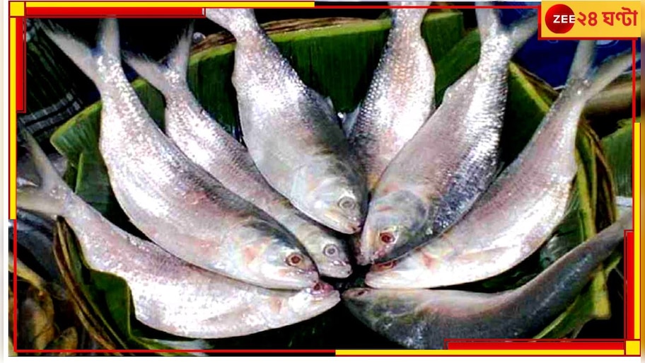 Bangladesh|Hilsa:'ইলিশ মাছ পূজার সঙ্গে সম্পর্ক নয়'!