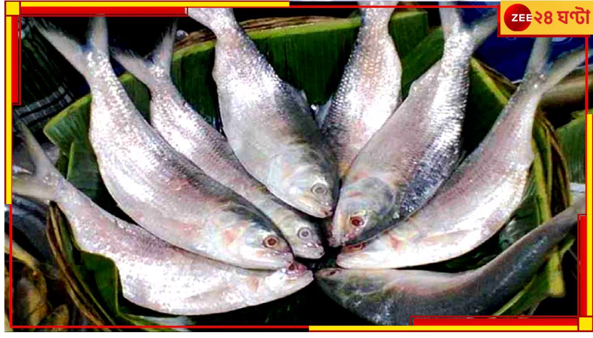 Bangladesh|Hilsa:'ইলিশ মাছ পূজার সঙ্গে সম্পর্ক নয়'! Bangladesh|Hilsa:'ইলিশ মাছ পূজার সঙ্গে সম্পর্ক নয়'!