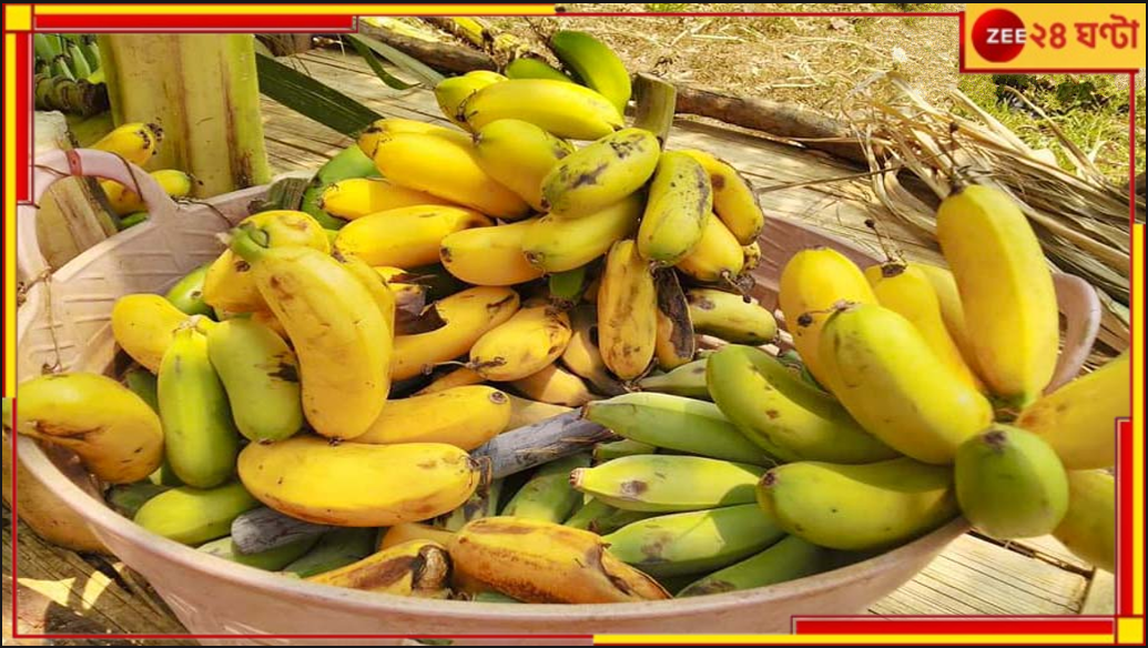 Cocaine in Banana: পাকা কলার ঝুড়িতে ৬৫ কোটির চাষ, কোকেন কেনার হিড়িকে ফিরছে ভাগ্য! Cocaine in Banana: পাকা কলার ঝুড়িতে ৬৫ কোটির চাষ, কোকেন কেনার হিড়িকে ফিরছে ভাগ্য!