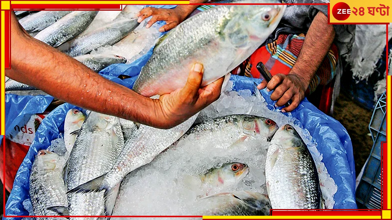 Hilsa| Bangladesh: ভারতকে ৩ হাজার টন ইলিশ নয়, রফতানির পরিমাণ কমিয়ে দিল বাংলাদেশ