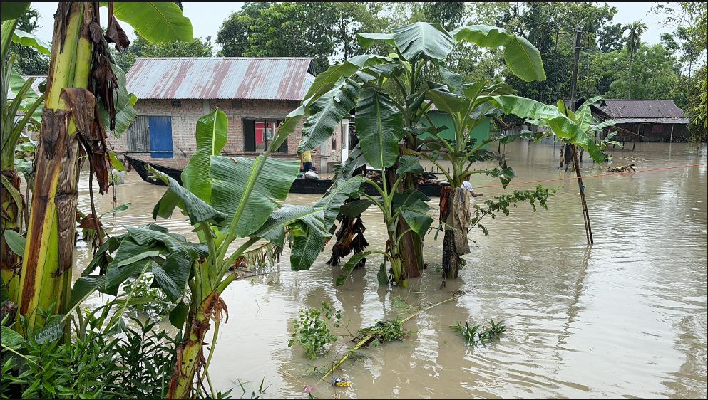 Flood Situation in West Bengal