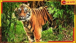 পাশে দাঁড়ায়নি সরকার! বাঘে খাওয়া ৪৫০ স্বজনহারা পরিবারের পাশে এই মানুষটি...