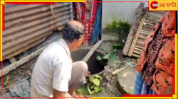 সরকারি শৌচালয়ের ট্যাঙ্কের ঢাকনায় পা দিতেই ভয়ংকর ঘটনা, মুহূর্তে নীচে চলে গেল স্কুল পড
