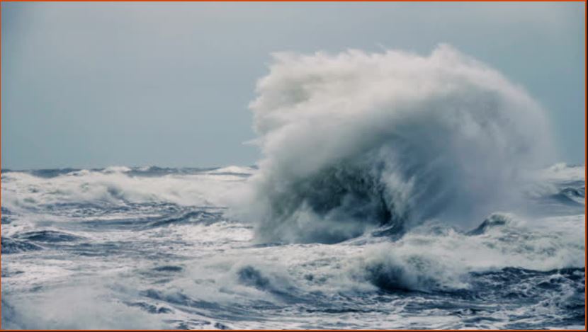 Cyclone Impact