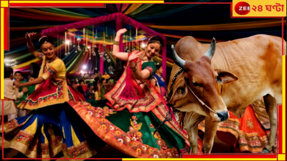 Garba Entry Controversy: এ আবার কী? নবরাত্রিতে গরবা নাচতে গেলে গোমূত্র পান করতেই হবে! Garba Entry Controversy: এ আবার কী? নবরাত্রিতে গরবা নাচতে গেলে গোমূত্র পান করতেই হবে!