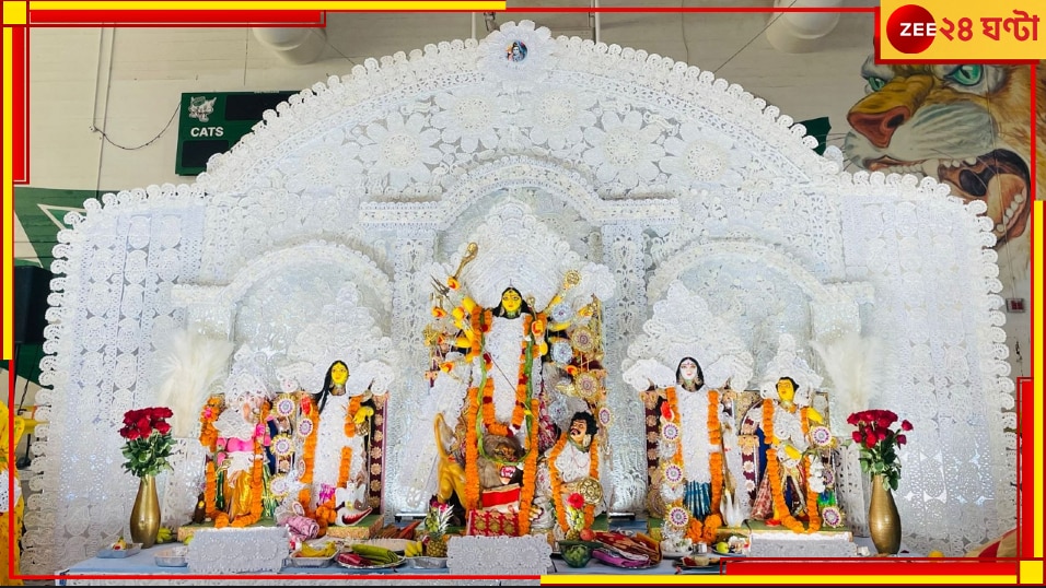 Durga puja in US: পরবাসে পুজোর ফুলও যেন তিলোত্তমার বিচারের অপেক্ষায়