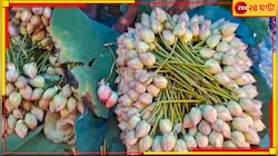 ফুল নেই বৃষ্টিনষ্ট পদ্মবনে, মাথায় হাত চাষিদের! অগ্নিমূল্যেও মিলবে না কমলকলি?