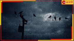 কবে পাকাপাকি বিদায় নিচ্ছে বর্ষা? লেটেস্ট ওয়েদার আপডেটে জানিয়ে দিল হাওয়া অফিস...