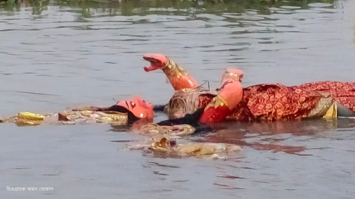 Durga Puja Immersion