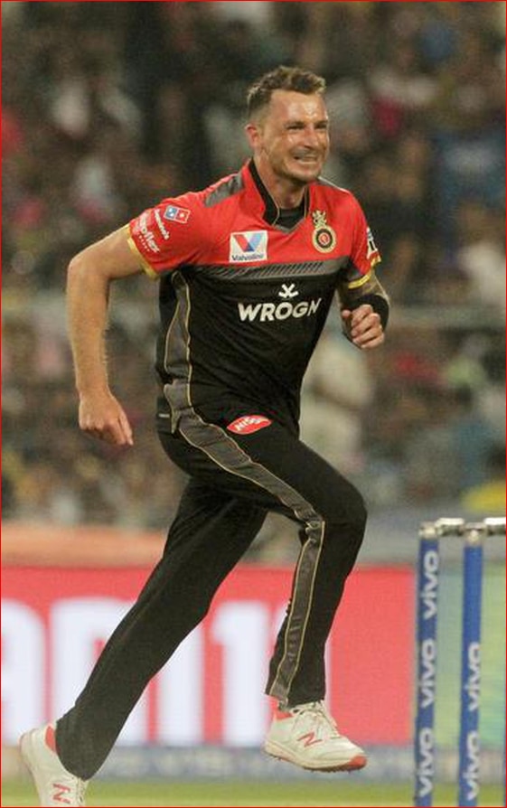  Dale Steyn IPL Carreer