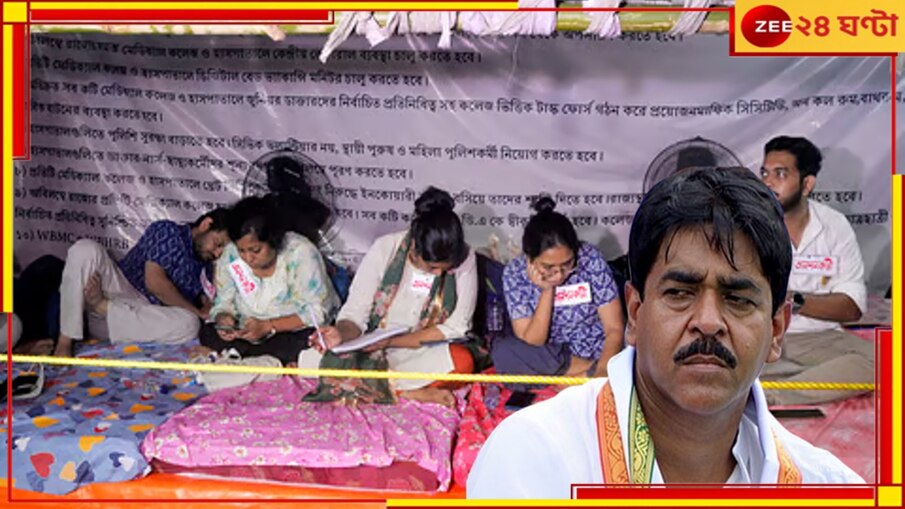 Saokat Molla: 'সিপিএমের দালাল ডাক্তারের বাংলাকে কলুষিত করার জন্য রাস্তায় নেমেছে!'