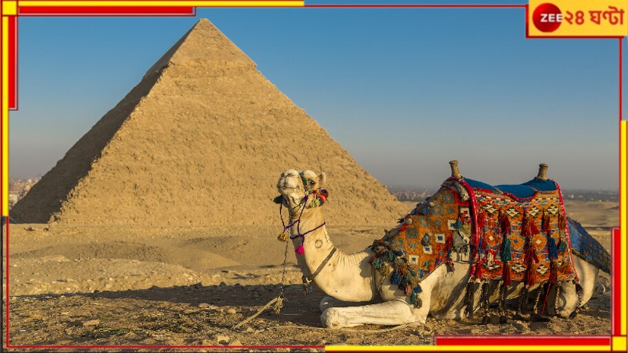Uber Camel: মরুভূমিতে হারিয়ে গিয়ে উবারে বুক করলেন উট, তারপর... 