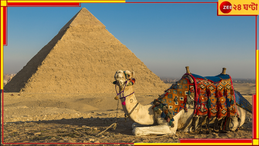 Uber Camel: মরুভূমিতে হারিয়ে গিয়ে উবারে বুক করলেন উট, তারপর... Uber Camel: মরুভূমিতে হারিয়ে গিয়ে উবারে বুক করলেন উট, তারপর...