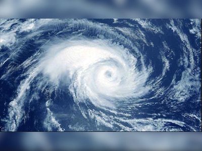 Jinsiy tabiatshunoslik