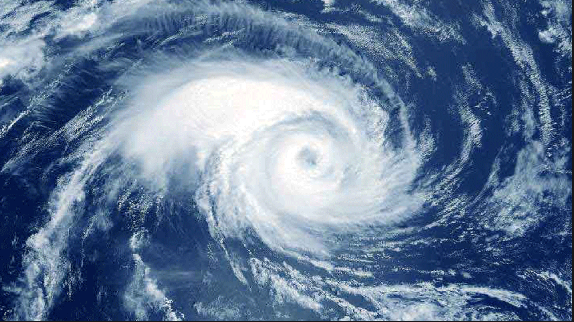 Eshaklarida dumbali erkaklar suratlari Jinsiy tabiatshunoslik