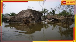 ডানার হানায় দুলে উঠল মাটি, ছলকে উঠল জল! কেমন আছে সুন্দরবন?