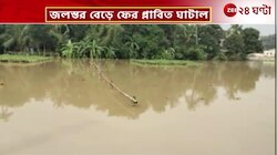 Ghatal | কালীপুজোর মুখে ফের বানভাসি ঘাটাল, জলমগ্ন একাধিক এলাকা | Zee 24 Ghanta