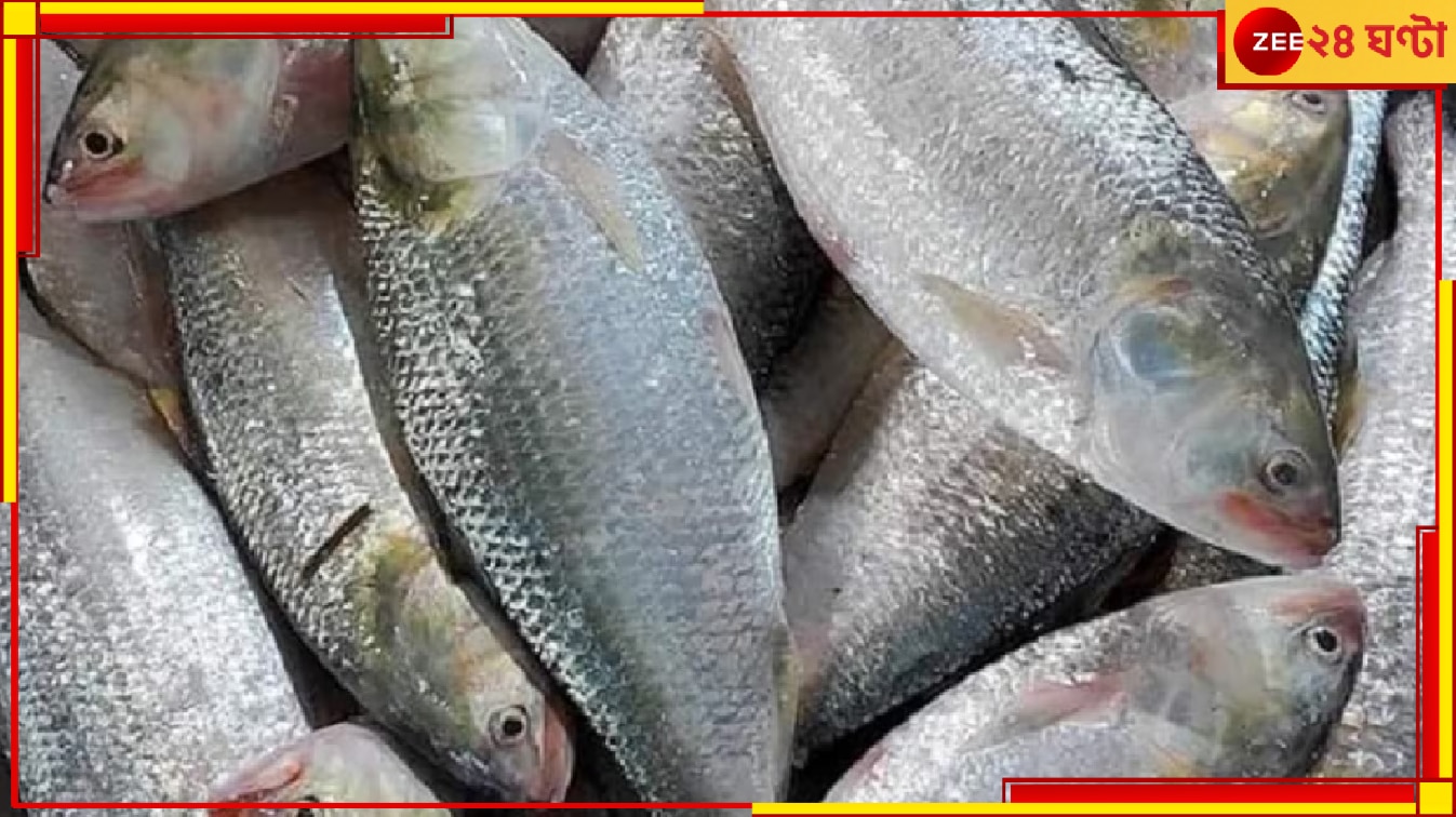 No Hilsa: হতাশ বাঙালি, দুশ্চিন্তায় মৎস্যজীবীরা! সমুদ্র থেকে ফিরছে খালি ট্রলার... 