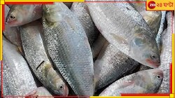 হতাশ বাঙালি, দুশ্চিন্তায় মৎস্যজীবীরা! সমুদ্র থেকে ফিরছে খালি ট্রলার...
