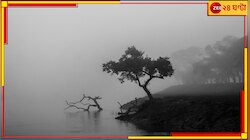বেশ কয়েক ডিগ্রি তাপমাত্রা কমে যাবে, শুরু শুষ্ক আবহাওয়ার দিন, কুয়াশামাখা সকাল...