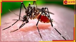 শীতের আগে ফের প্রাণ কাড়ল ডেঙ্গি,বিধাননগরে ডেঙ্গিতে আক্রান্ত মহিলার মৃত্যু...