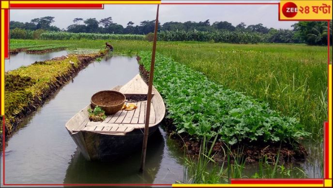 Ghatal Flood: মাঠের জল ঢুকছে শিলাবতীতে! চিন্তায় দাসপুরবাসীরা... 