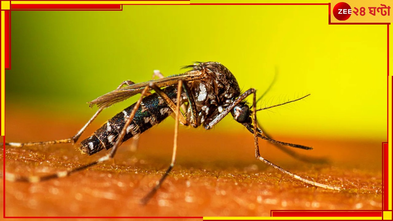 Chikungunya | Malda: ডেঙ্গির মধ্যেই নয়া আতঙ্ক! মালদায় প্রথম থাবা বসাল এই রোগ, আক্রান্ত অনেকে...