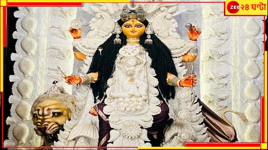 Jagaddhatri Puja 2024: ষষ্ঠীর সন্ধ্যাতেই জমজমাট আলোর শহর...  