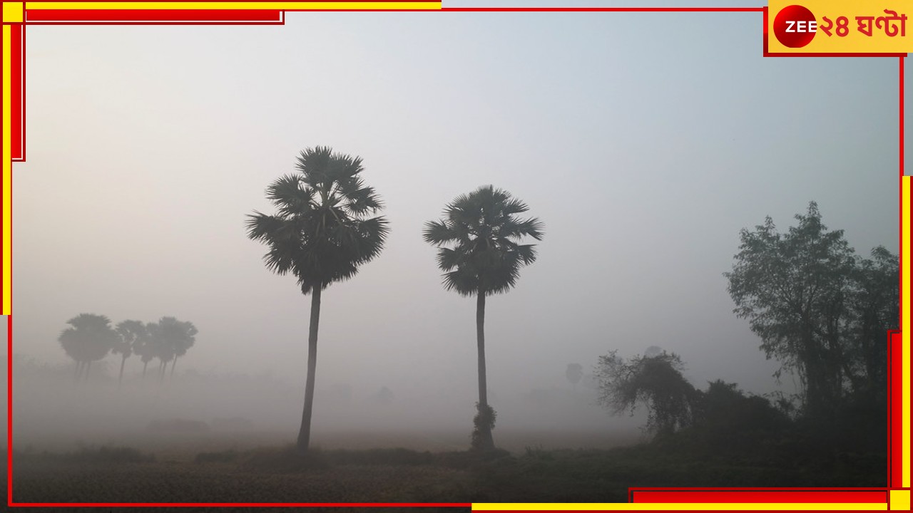 Weather: জগদ্ধাত্রী পুজোর নবমী ভাসাবে বৃষ্টি? হাওয়া বদল কবে?