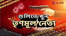 West Bengal Bypoll 2024 | Bhatpara | ভাটপাড়ায় শ্যুটআউট নিয়ে বিস্ফোরক পার্থ ভৌমিক! | Zee 24 Ghanta