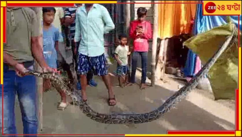 Jalpaiguri: &#039;অ&#039;-এ অজগর এবার ধান খেতে! চাষের মাঠে অজগর জুবুথুবু গ্রামবাসী...