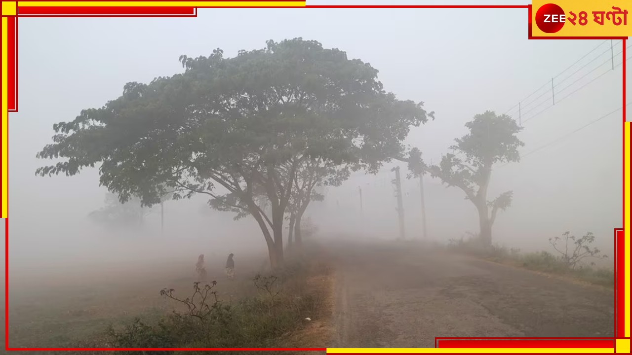 Weather: ১৪-র ঘরে পারদ এখন-ই! ৪৮ ঘণ্টায় আরও ৩ ডিগ্রি নামবে তাপমাত্রা...