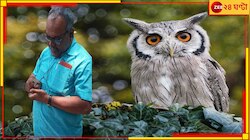 আশ্চর্য! কোভিড রুখে দিয়েছিল প্যাঁচাবাহিনী? জানুন এই নিশাচরদের কলোনি-কাহিনি...