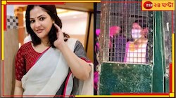 জামিন পেলেন অর্পিতা! ৫ লক্ষ টাকার ব্যক্তিগত বন্ড মঞ্জুর, জেলেই পার্থ...