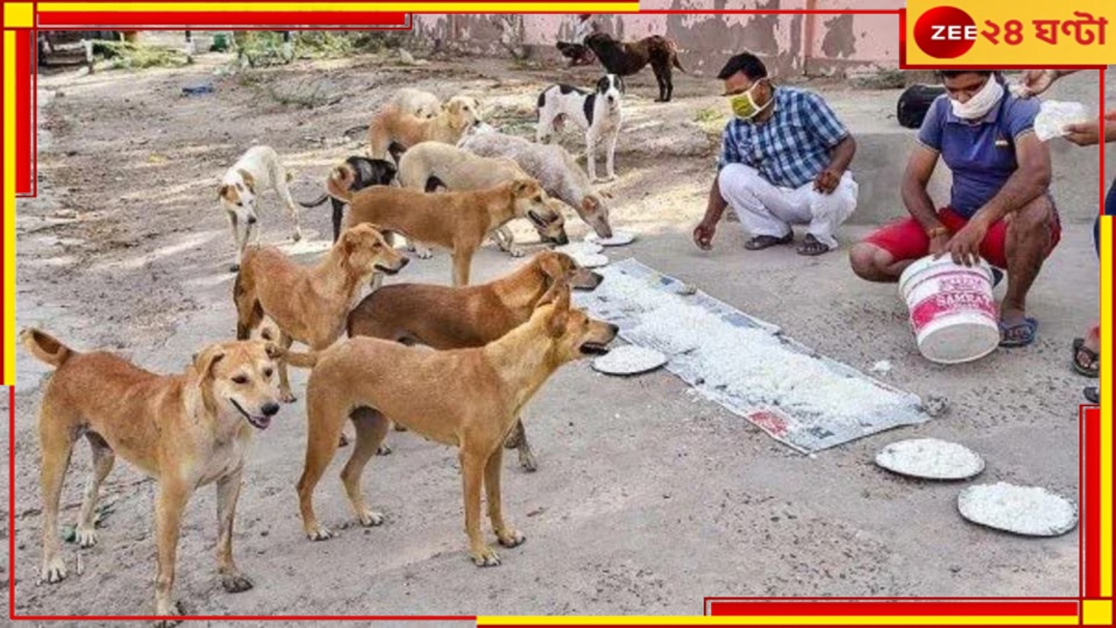 Stray dog: আপনি কি পথ কুকুদের খাওয়ান? রাজ্যের নয়া গাইডলাইন দেখে নিন...