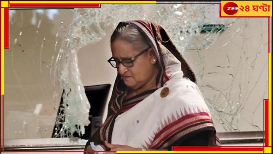 Sheikh Hasina: &#039;শেখ হাসিনা ভারতে বসে বাংলাদেশকে নষ্ট করতে ষড়যন্ত্র করছেন&#039;