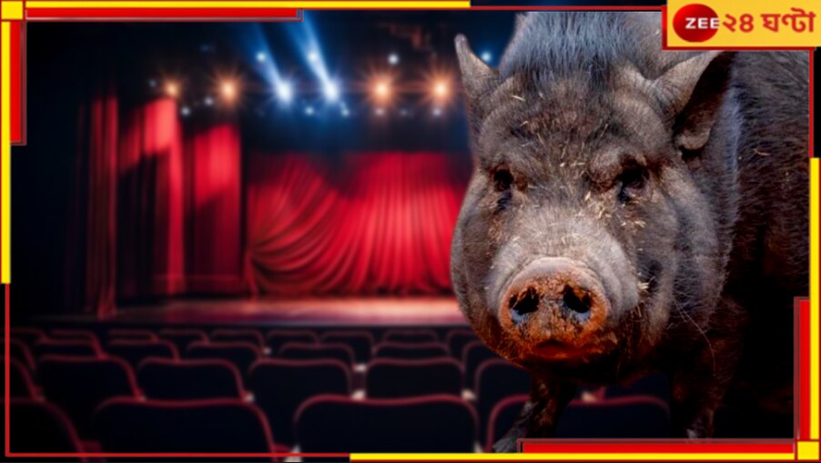 Odisha Shocker: বীভৎস দৃশ্য! নাটকের মঞ্চেই জ্যান্ত শূকরের পেট চিরে মাংস খেলেন 'রাক্ষস' অভিনেতা...