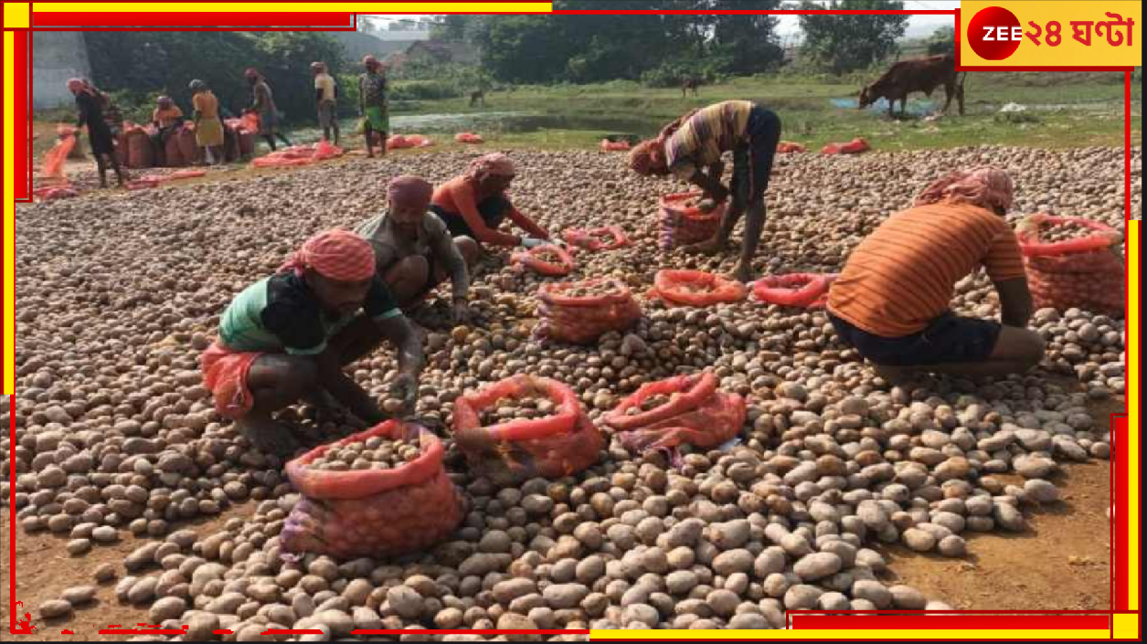 Potato Supply: রাজ্য সরকারের চাপে উঠে গেল আলু ধর্মঘট! হিমঘর থেকে আলু বেরোবে এবং তা আসবেও বাজারে... Potato Supply: রাজ্য সরকারের চাপে উঠে গেল আলু ধর্মঘট! হিমঘর থেকে আলু বেরোবে এবং তা আসবেও বাজারে...